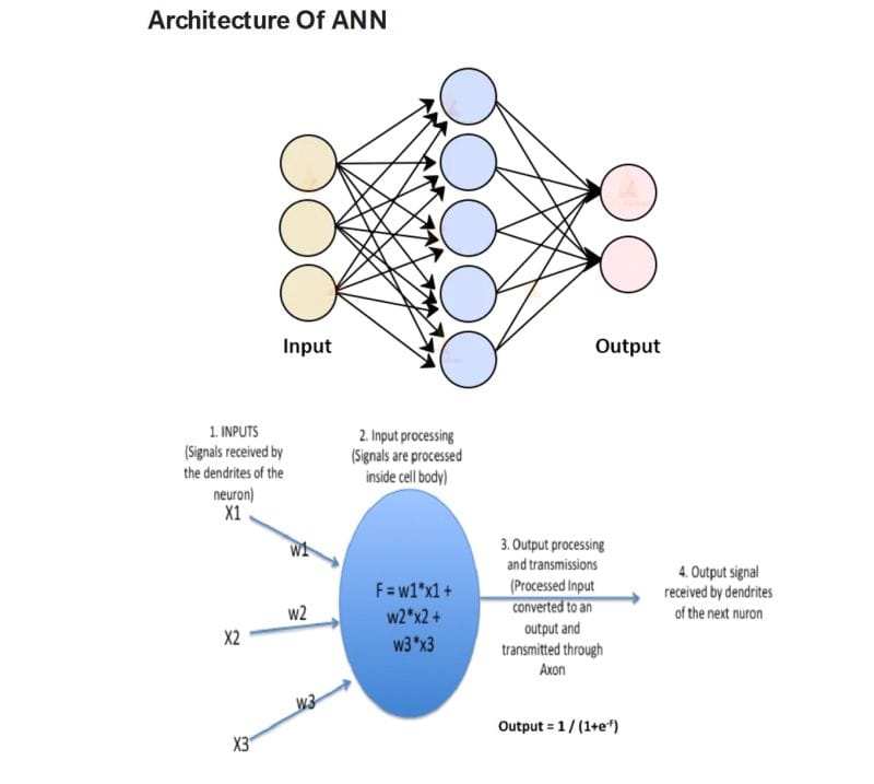 Artificial Neural Network(ANN)