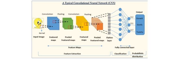 Convolutional Neural Network (CNN)