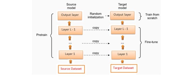 Transfer Learning and Fine Tuning in Deep Learning